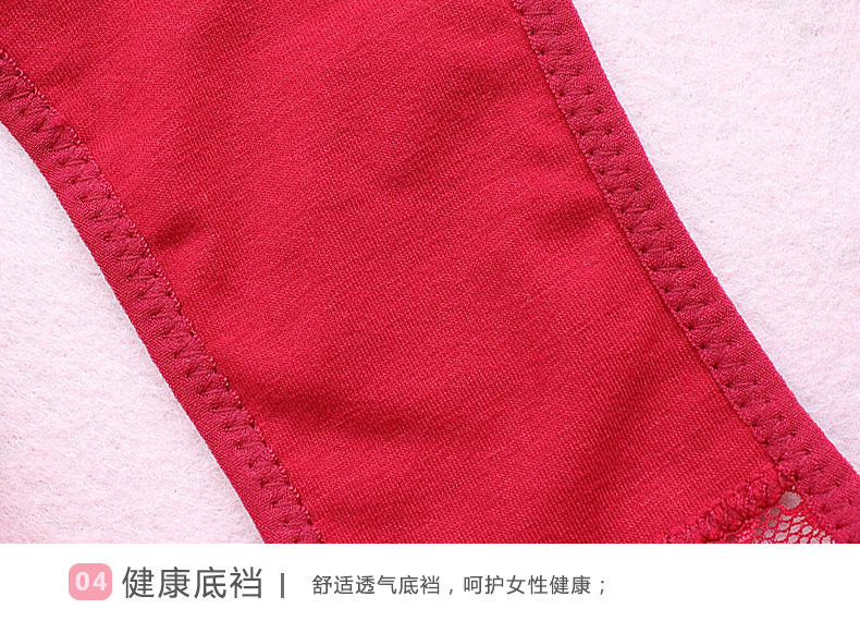 Women panties Luxury Lace side large women's underwear Europe and America narrow crotch low waist briefs European size